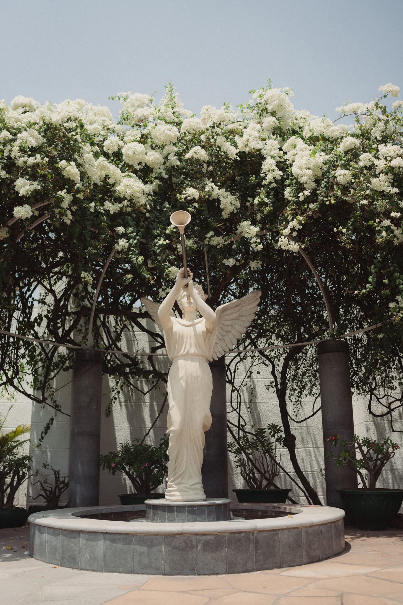 Dharshan X Pooja - Photo 203