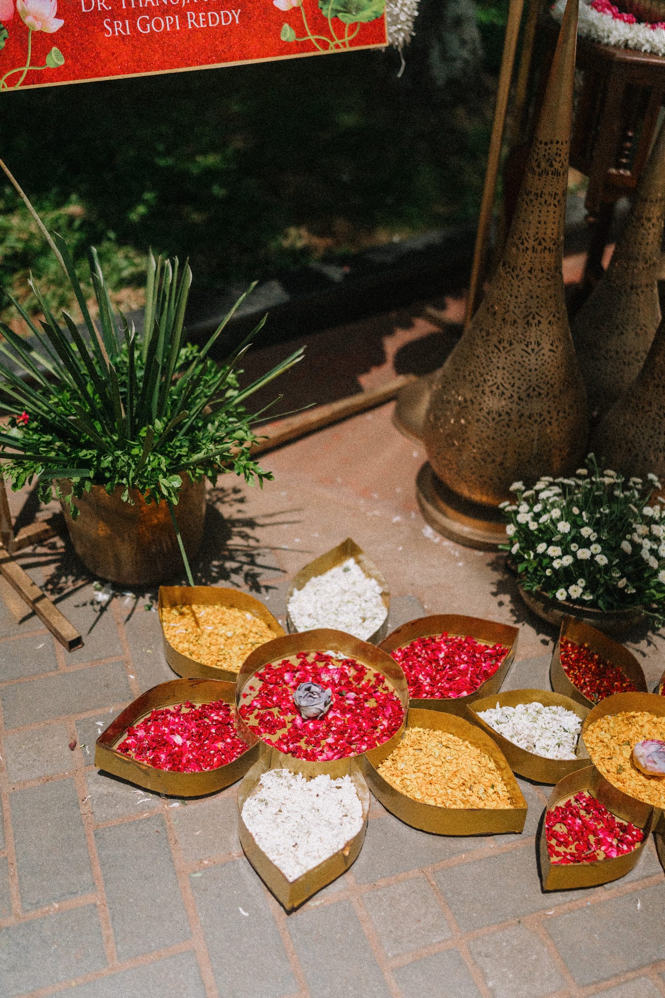Navanita X Nishanth - Photo 15