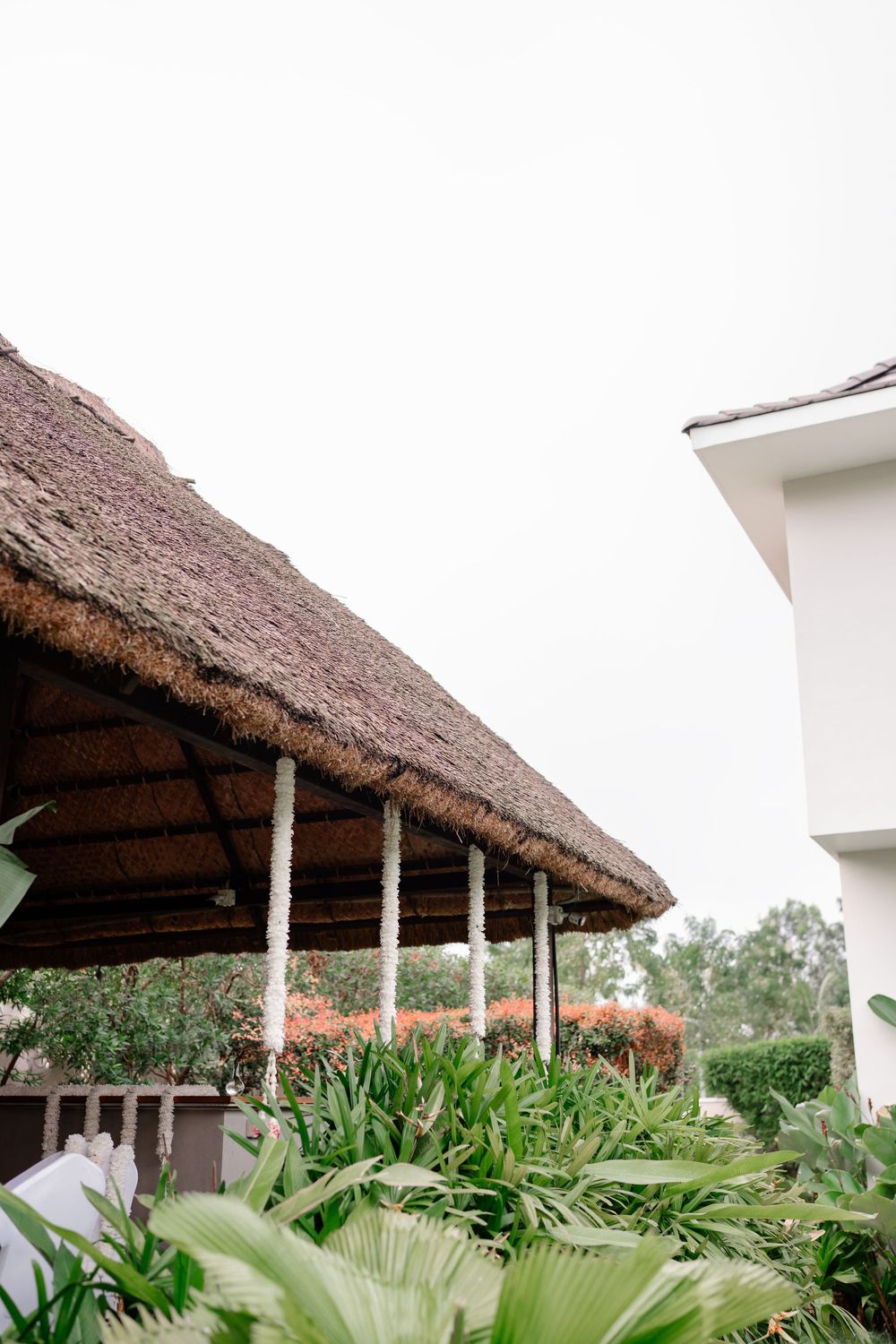 Roshni x Shashi - Photo 12