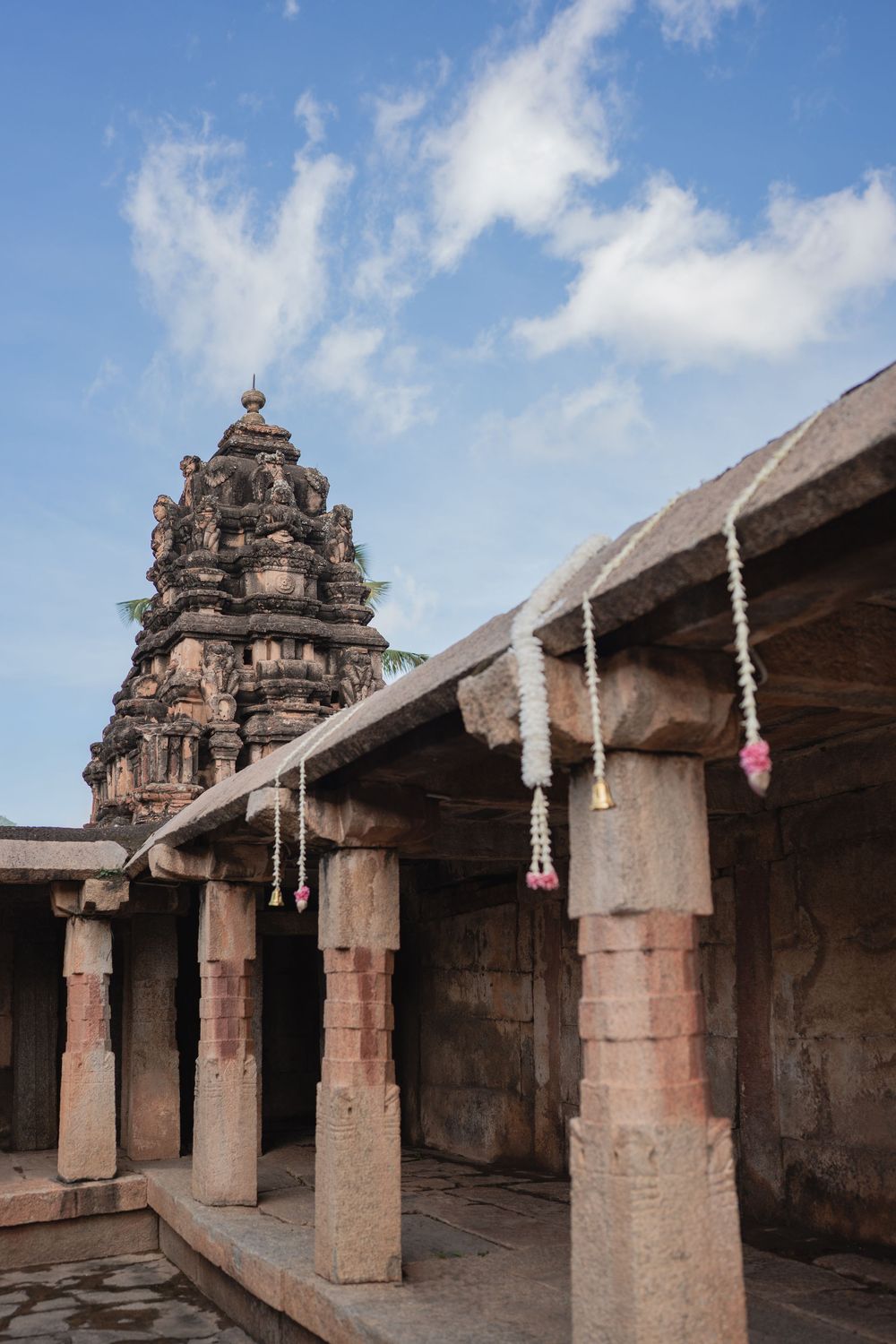 Roshni x Shashi - Photo 14