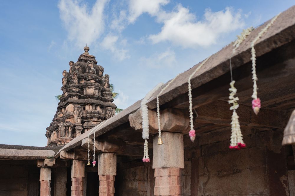 Roshni x Shashi - Photo 20