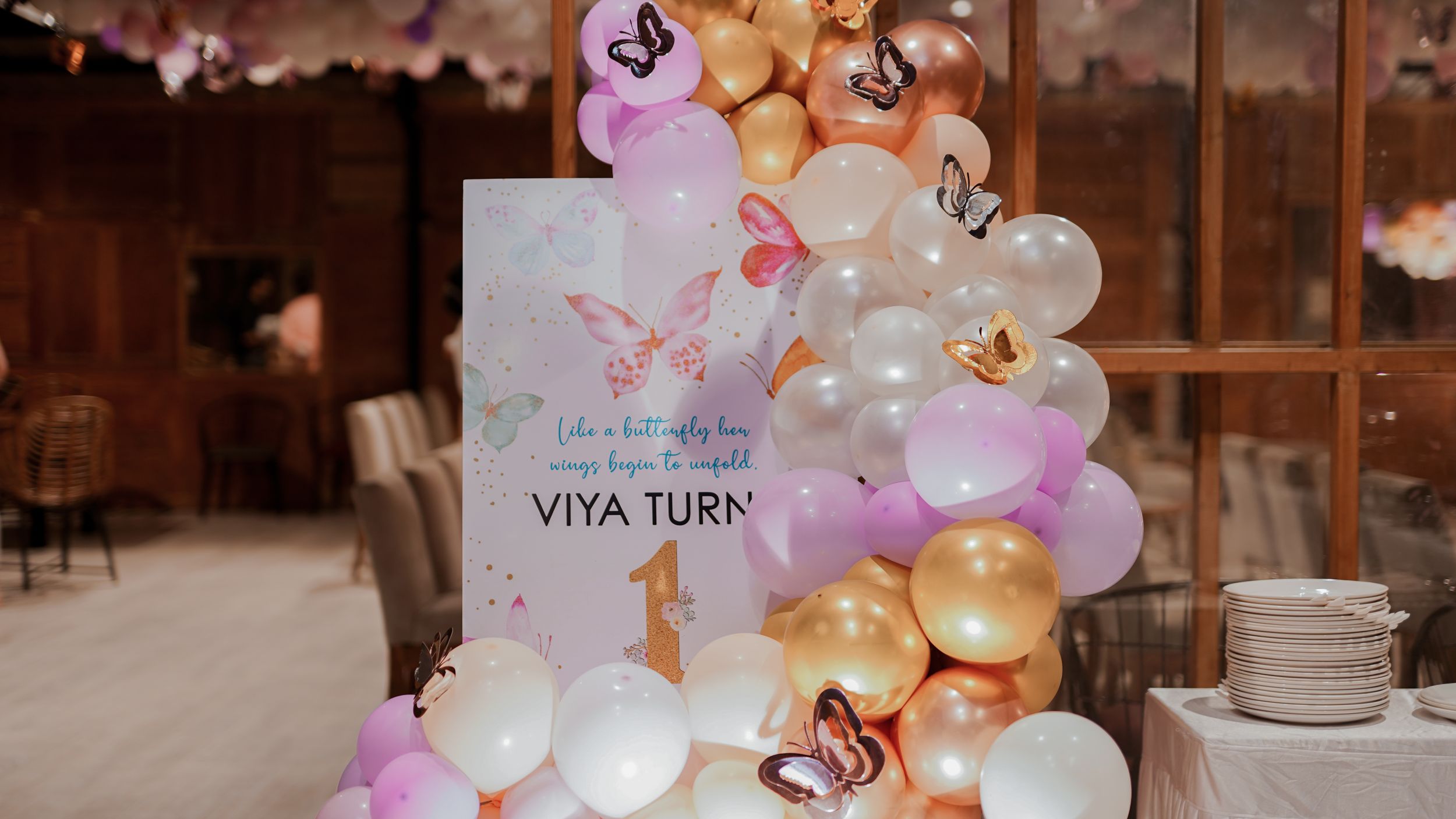Viya Turns One - Photo 117