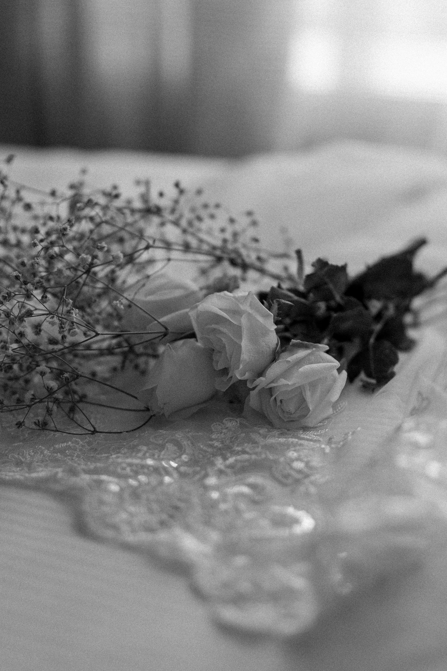 Steffy & Calvin — photograph 8